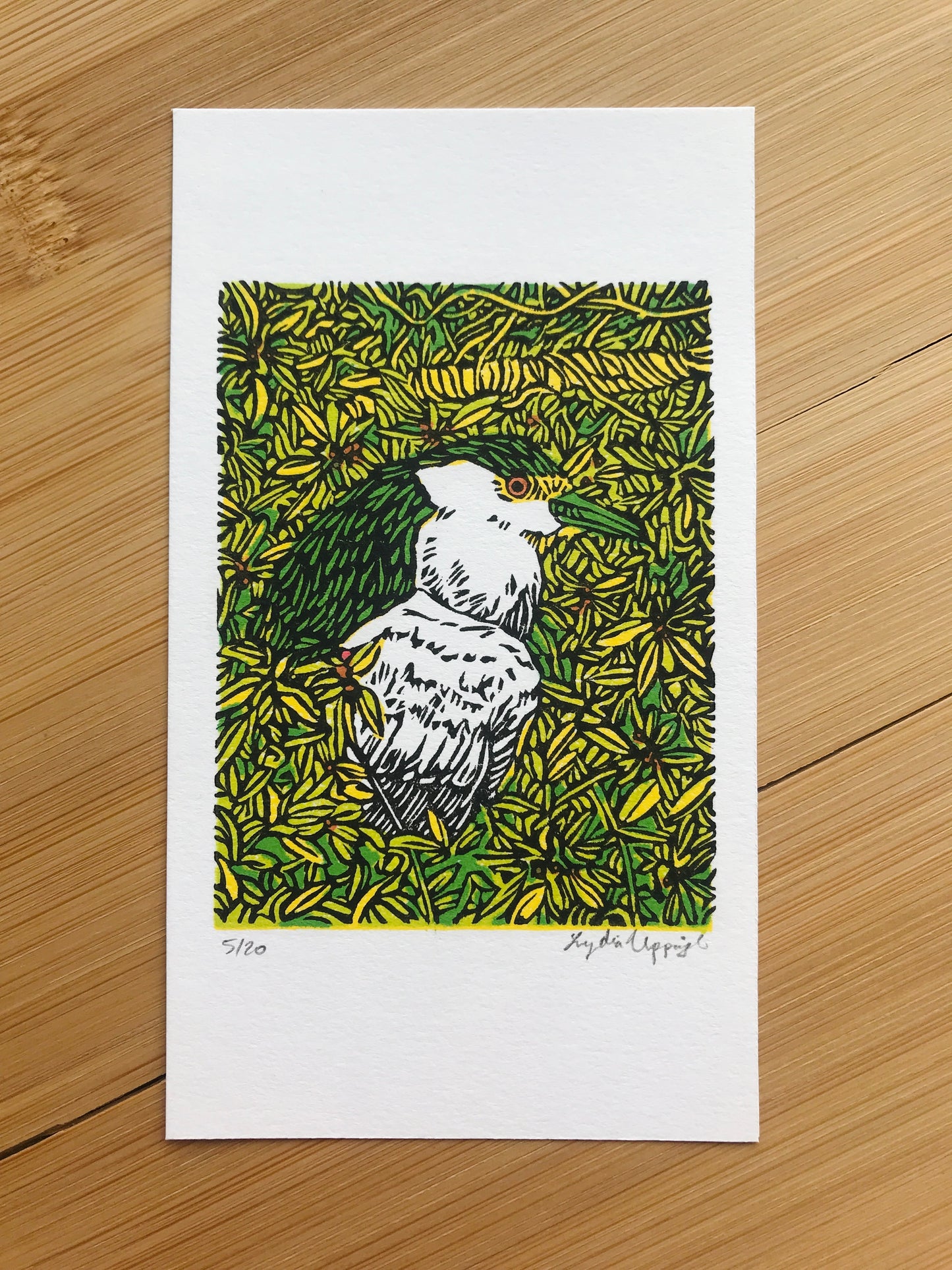 Black-Crowned Night Heron - Linocut Print