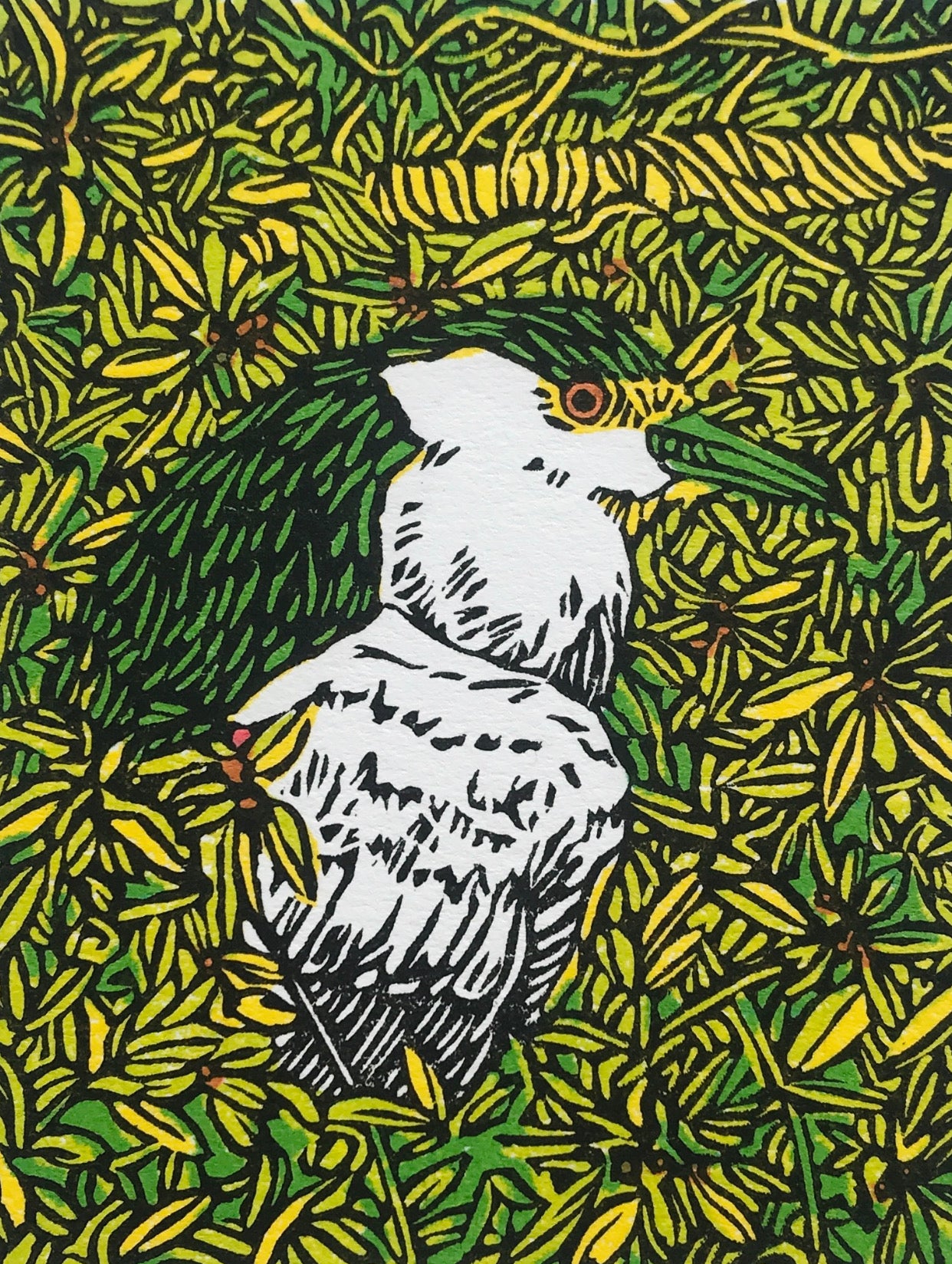 Black-Crowned Night Heron - Linocut Print